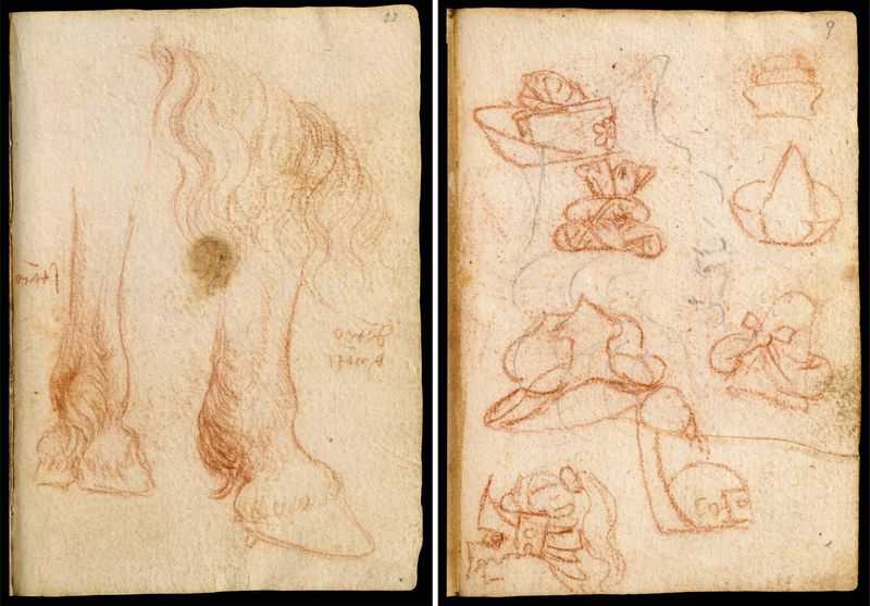A page from Codex Leicester by Leonardo Da Vinci